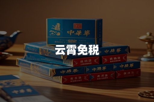 云霄免税